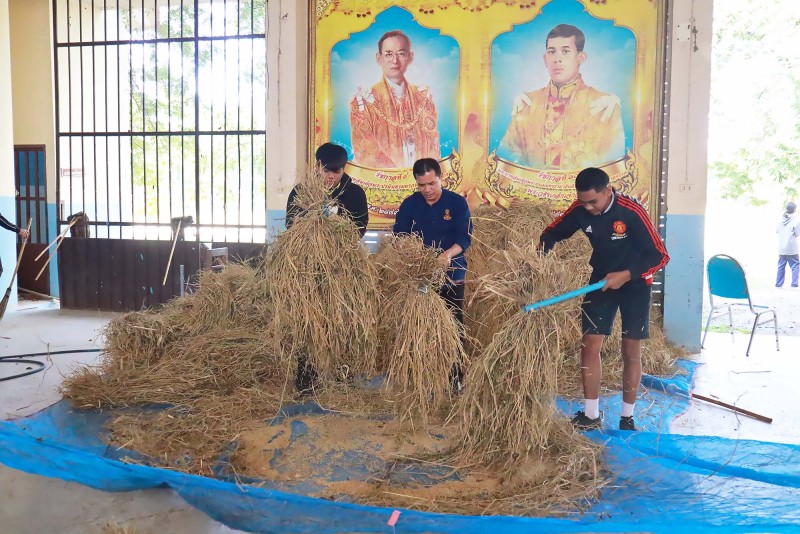 กิจกรรมชุมนุม ฐานแปลงผัก และ นาข้าว