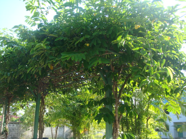 Image description