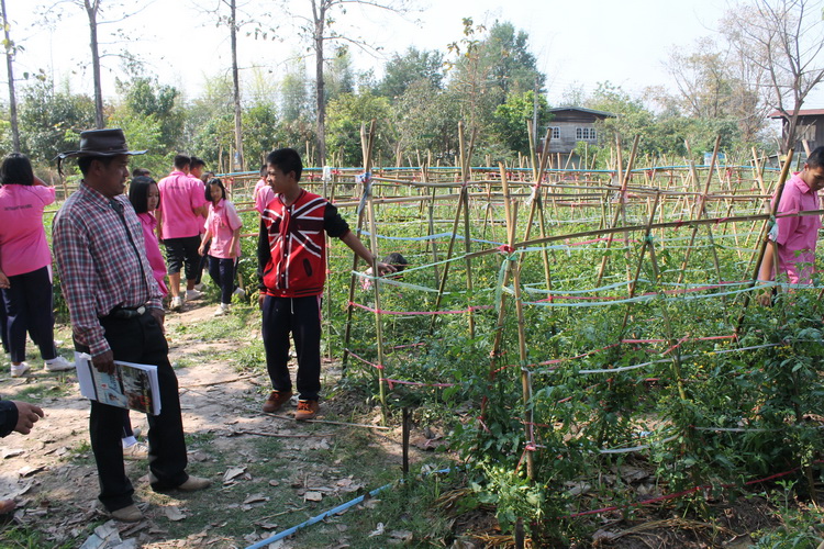 Image description
